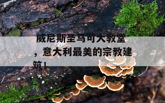  威尼斯圣马可大教堂，意大利最美的宗教建筑！